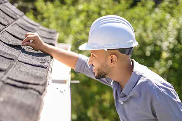Professional Roofing Contractor